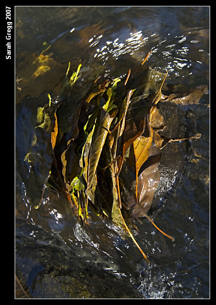 La valle Luterana e le cascate delle Ferriere