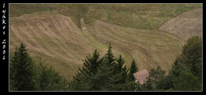 Ricordi di Monte Baldo