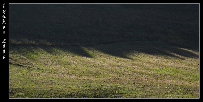 Ricordi di Monte Baldo