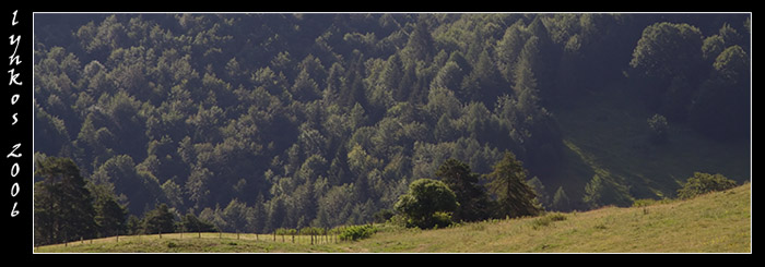 Ricordi di Monte Baldo