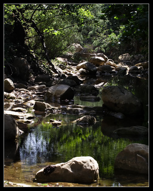 Rio Fiume (Tolfa), i dettagli