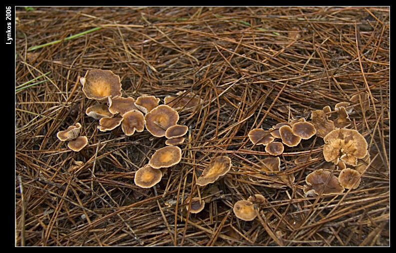 Altri tre dall''archivio