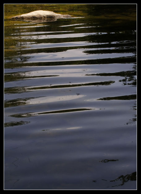 Rio Fiume (Tolfa), i dettagli