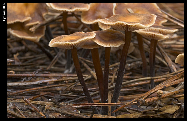 Altri tre dall''archivio