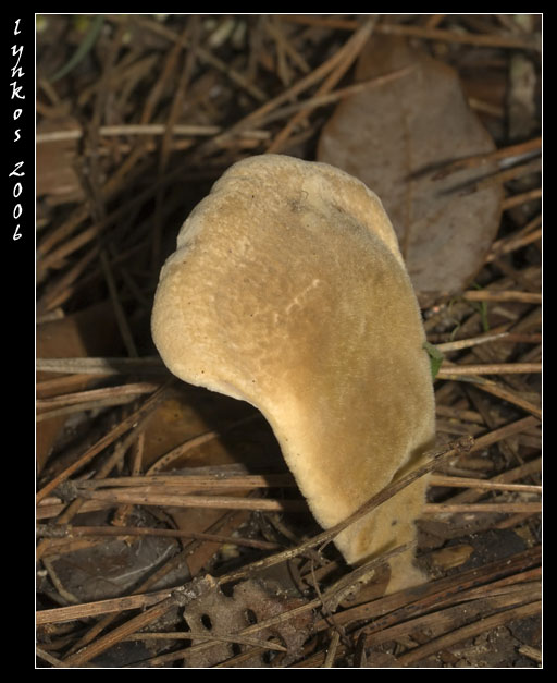 Un po'' alla volta 1