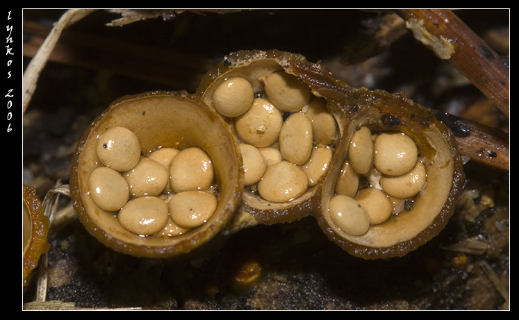 Qualche giorno fa...