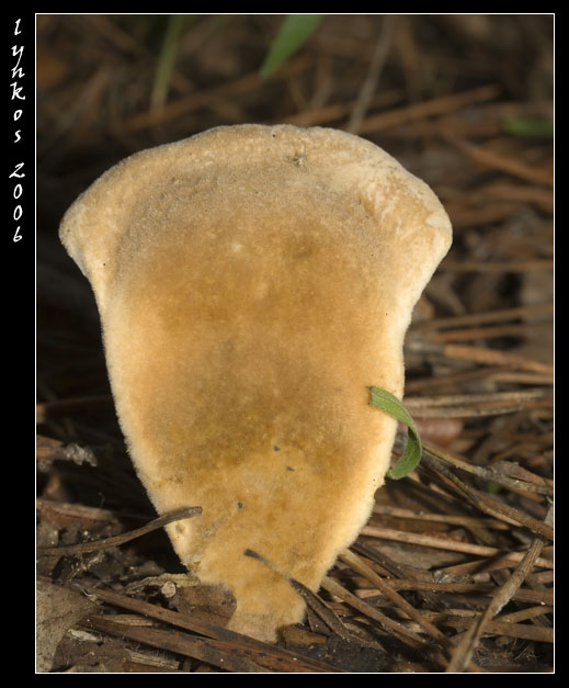 Un po'' alla volta 1