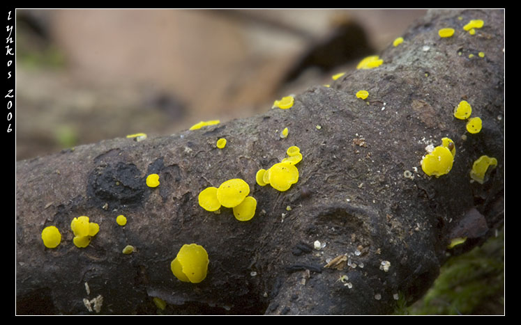 Altri tre dall''archivio