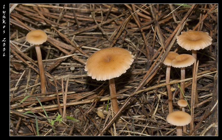 Qualche giorno fa...