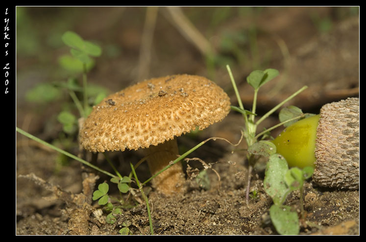 Un po'' alla volta 1