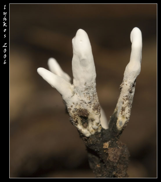 Un po'' alla volta 1