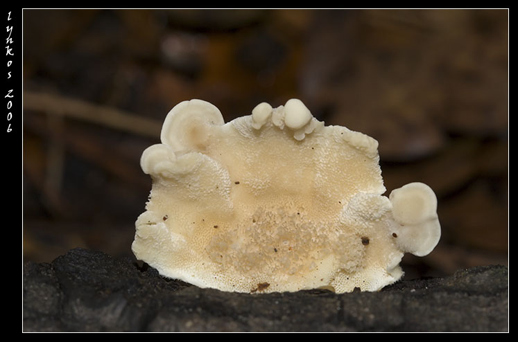 Qualche giorno fa...