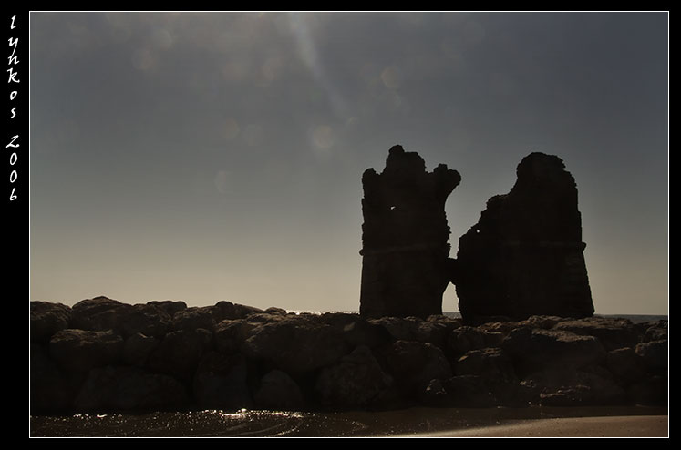 La palude di Torre Flavia