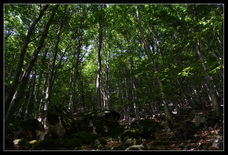 Val Canneto (dedicato a Gianni e Angela)