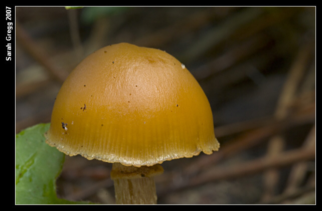 Altri tre dall''archivio