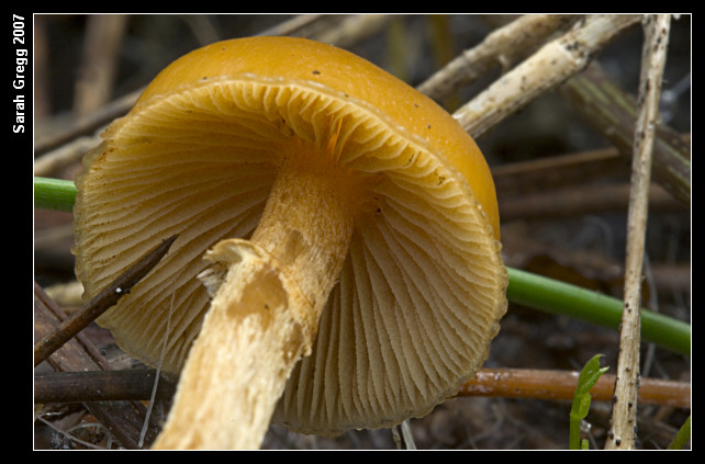 Altri tre dall''archivio