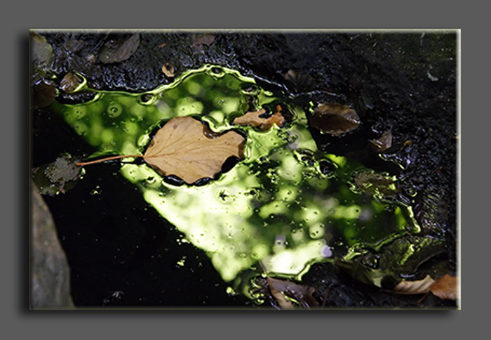 La luce gioca con l''acqua