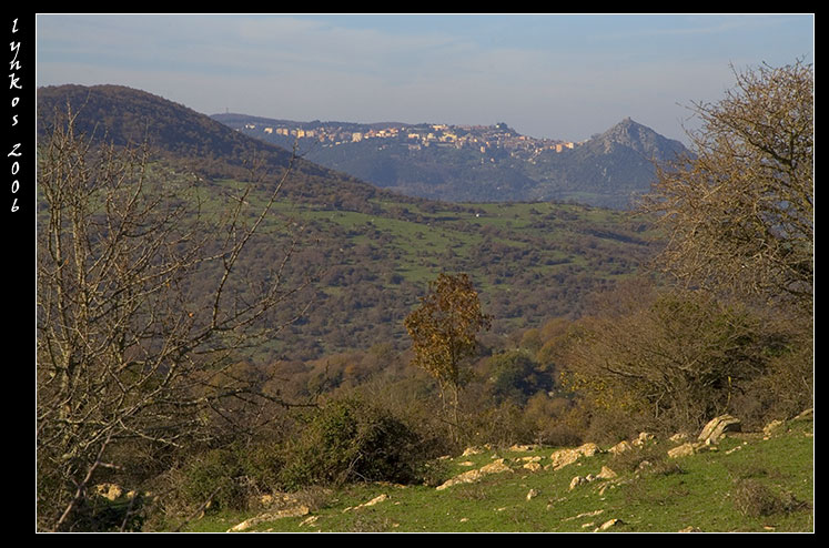 Le montagne intorno a Tolfa: Monte dell''Acqua Tosta