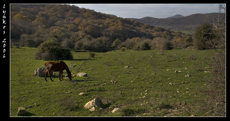 Le montagne intorno a Tolfa: Monte dell''Acqua Tosta
