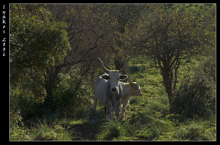 L''entroterra di Cerveteri