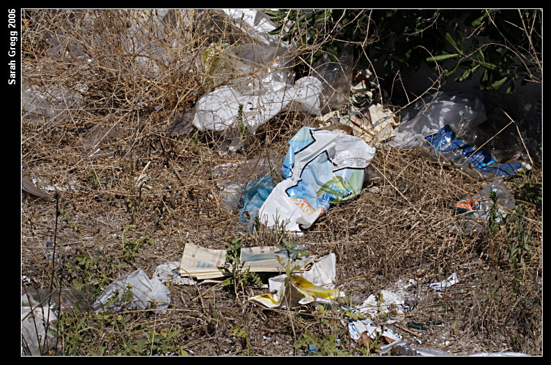 Canale dei Pescatori, Ostia, acqua verde, acqua torbida