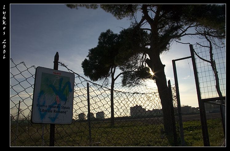 Canale dei Pescatori, Ostia, acqua verde, acqua torbida