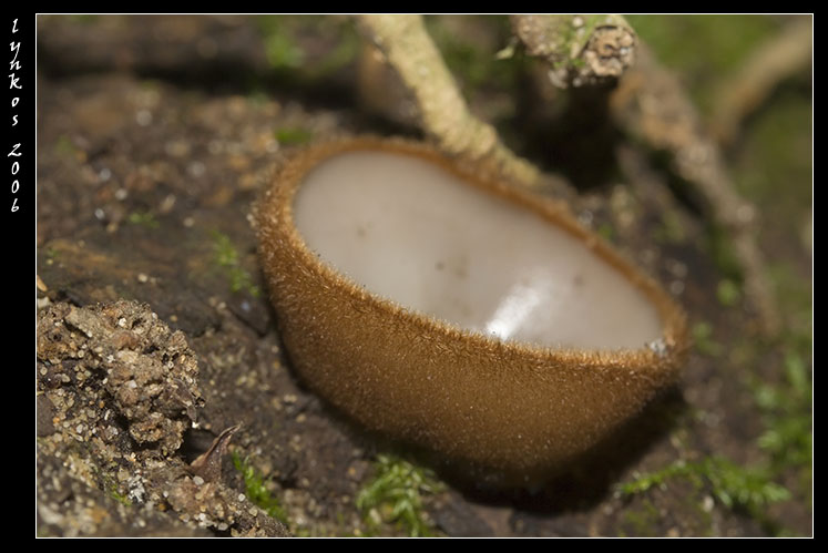 Un po'' alla volta 5