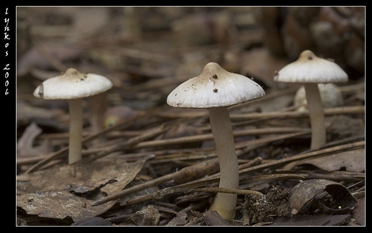 Luce naturale (ma poco)
