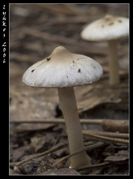 Luce naturale (ma poco)