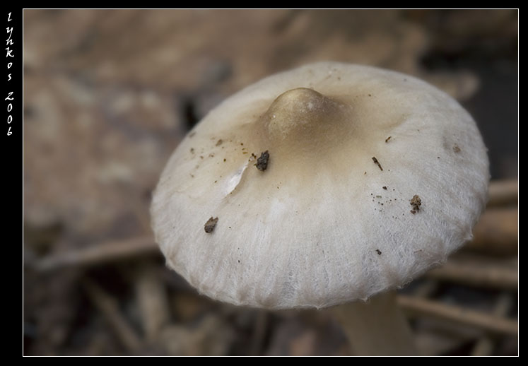 Luce naturale (ma poco)