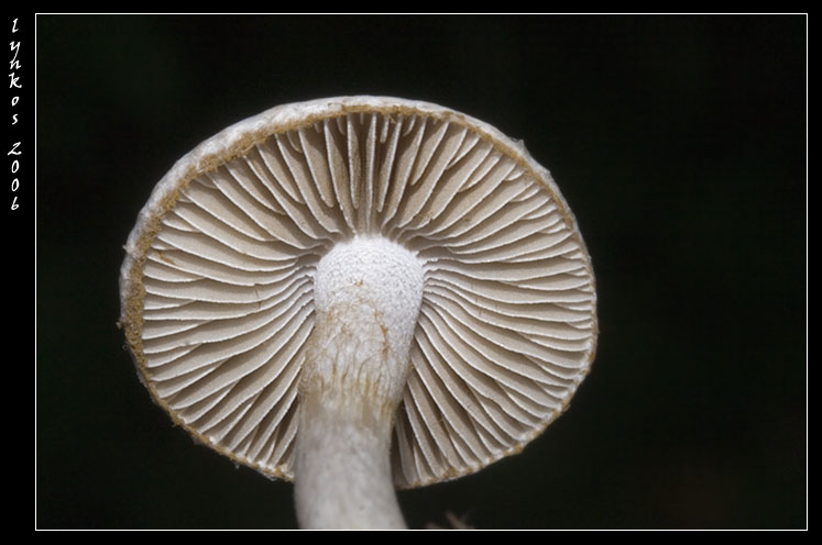 Luce naturale (ma poco)