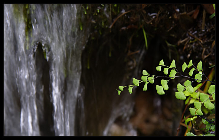 Valleluce (Cassino), roccia e acqua