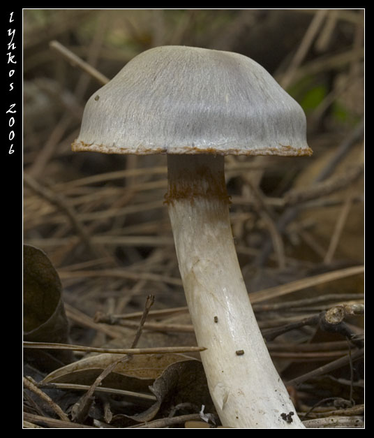 Luce naturale (ma poco)