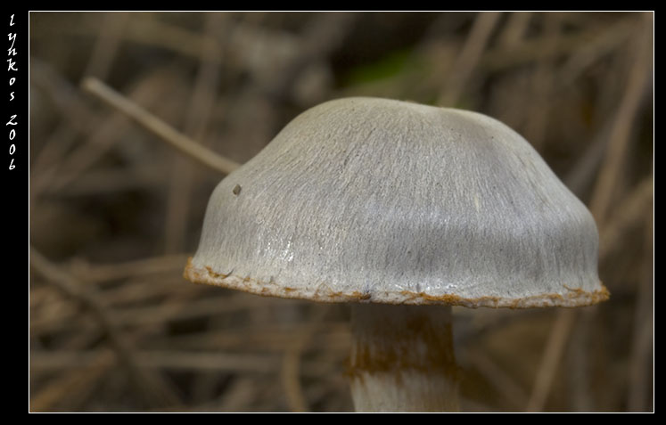 Luce naturale (ma poco)
