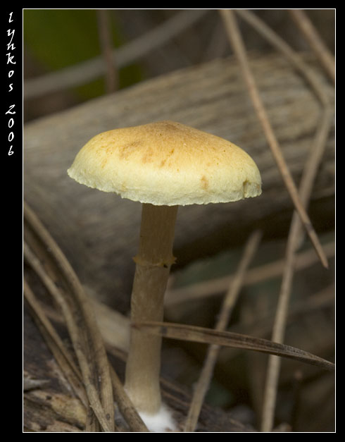 Luce naturale (ma poco)