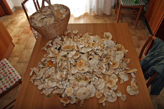 Escursione del 03-05-2007