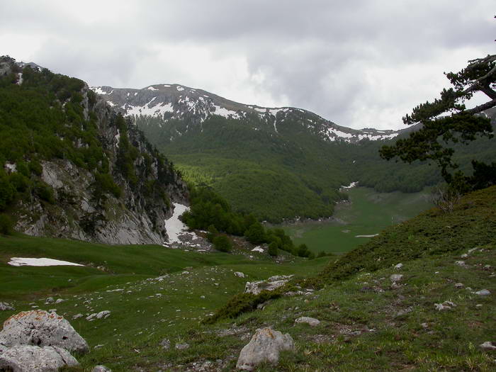 Gastropodi e Ambienti del Parco del Pollino