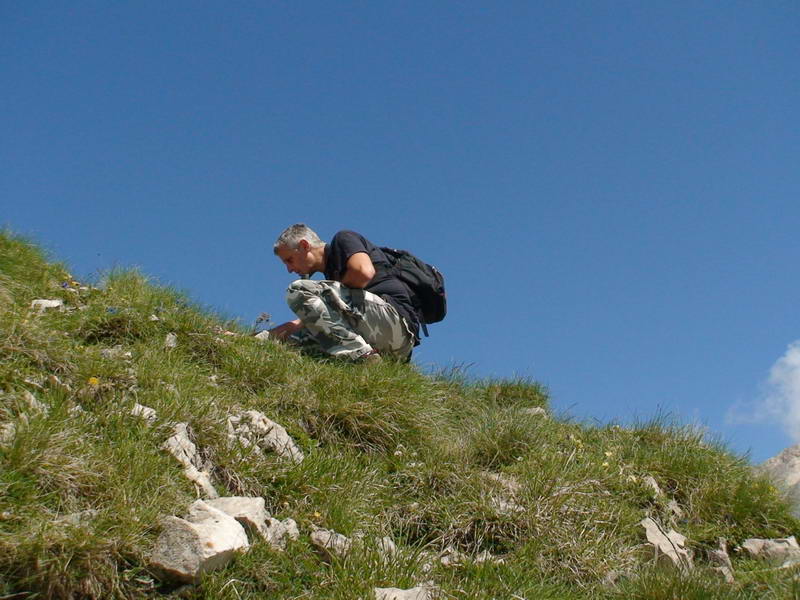 Campo Imperatore (AQ)