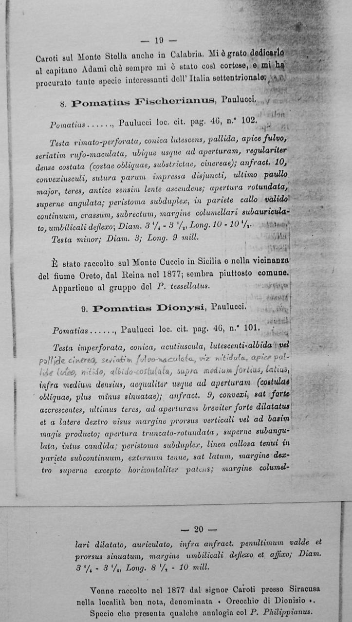 Richiesta bibliografica