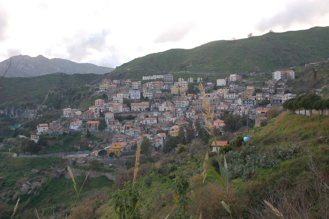 2. Le colline di Taormina: Aphyllophorales e molto altro