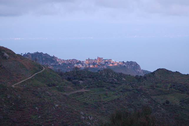 2. Le colline di Taormina: Aphyllophorales e molto altro