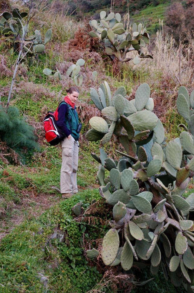 2. Le colline di Taormina: Aphyllophorales e molto altro