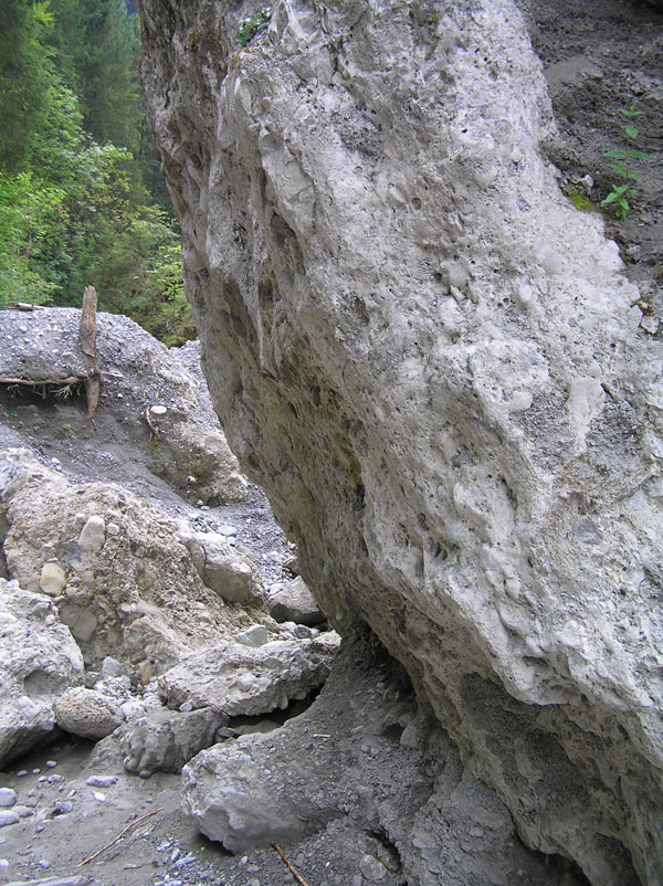 Limax portato in scena (Limax on stage)