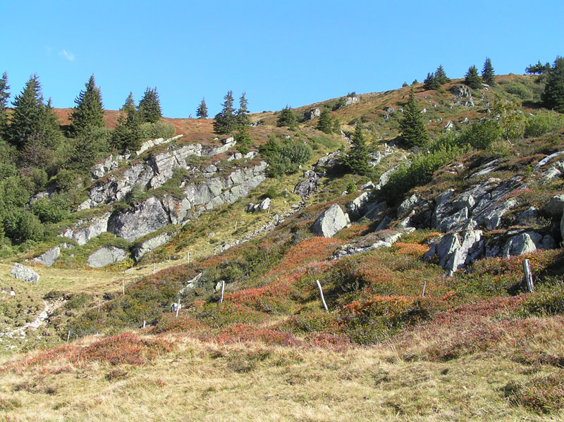 Come vacanze: Autunno in Austria occ.