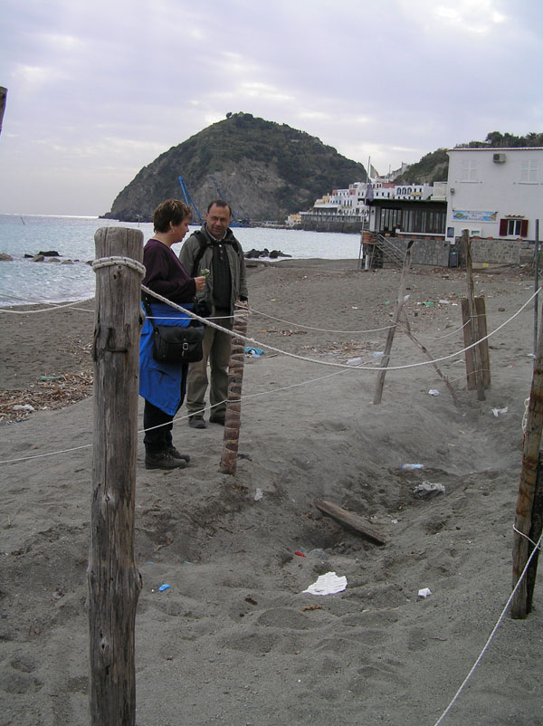 Licheni d''Ischia (NA)