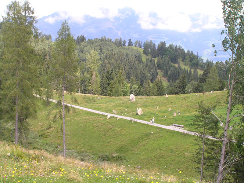 Non meridionale Licheni da Austria occ. di un campo di forze