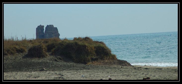 La palude di Torre Flavia