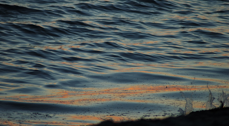 Un mare al tramonto