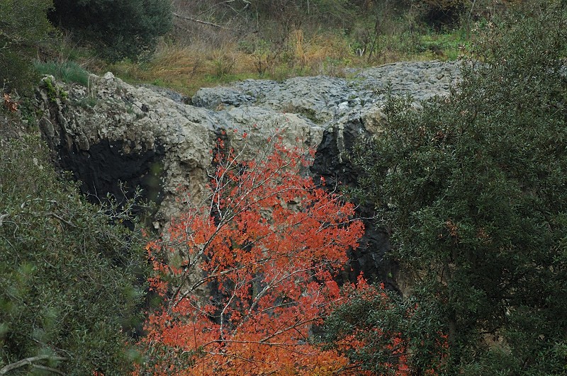 Cascata della Mola nei Monti Ceriti (Cerveteri)