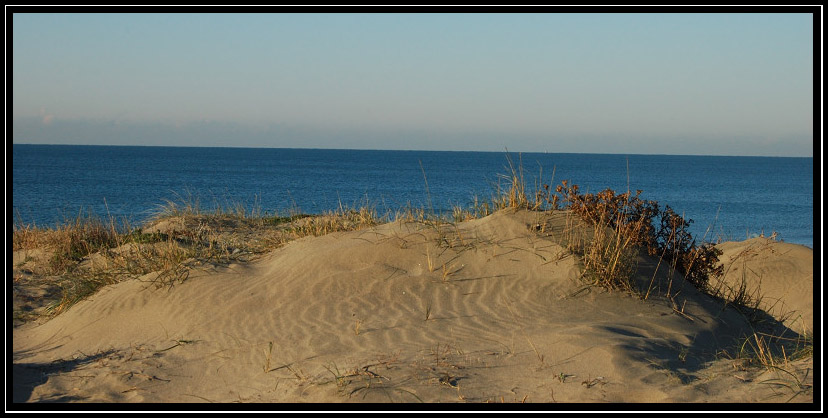Come abbiamo trascorso splendide giornate; incontro 2007 NM
